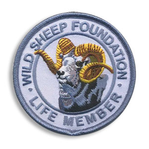 non-profit patch